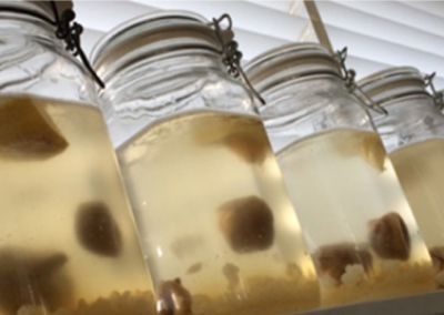 Kefir Kefir